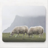 Weidende Schafe Foto Mousepad (Vorne)