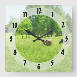Weidende Schafe Quadratische Wanduhr