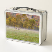 Weidenelch - Lunchbox (Rückseite)