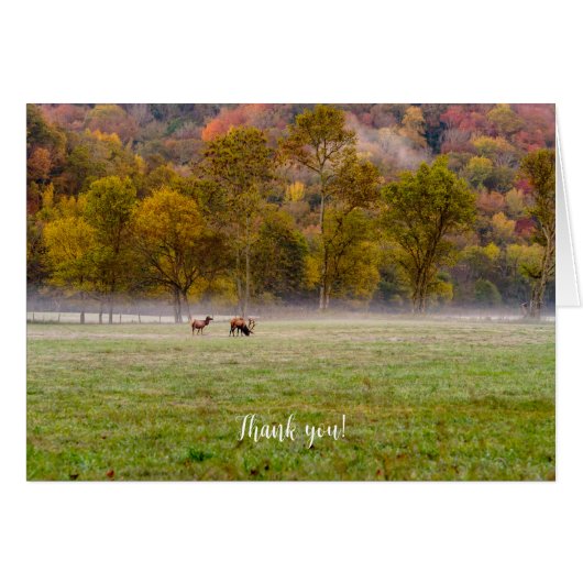 Weidenelchen Dankeschön Karte (Vorderseite (Horizontal))