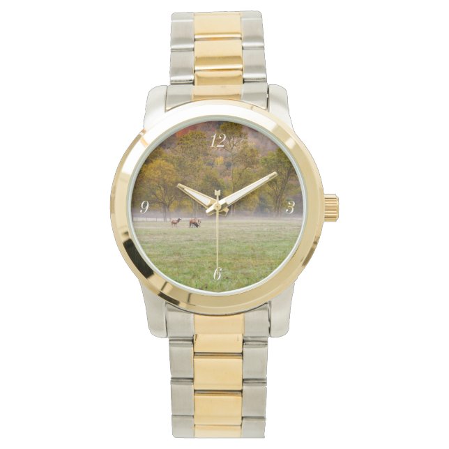 Weidenelle Gold und Silber Watch Armbanduhr (Vorderseite)