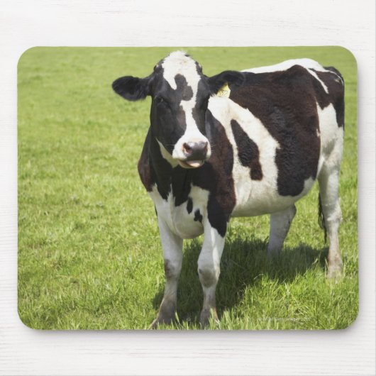 Weidenkühe Mousepad (Vorne)