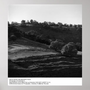 Weidenlandschaft von Ansel Adams Poster