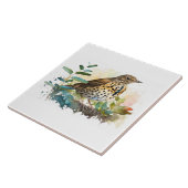 Weidenlarche auf einem soliden, weißen Hintergrund Fliese (Seite)