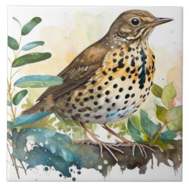 Weidenlarche auf einem soliden, weißen Hintergrund Fliese