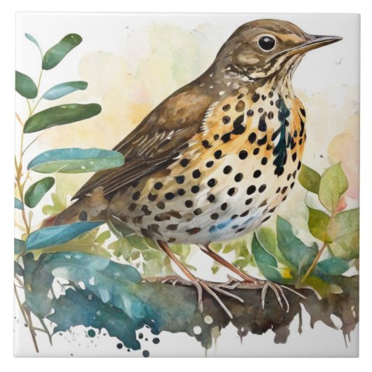 Weidenlarche auf einem soliden, weißen Hintergrund Fliese (Vorderseite)