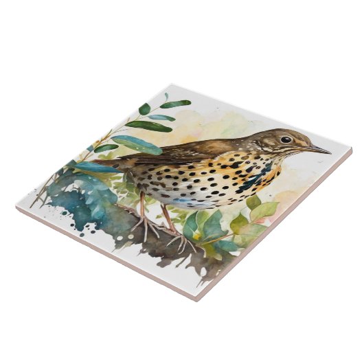 Weidenlarche auf einem soliden, weißen Hintergrund Fliese (Seite)