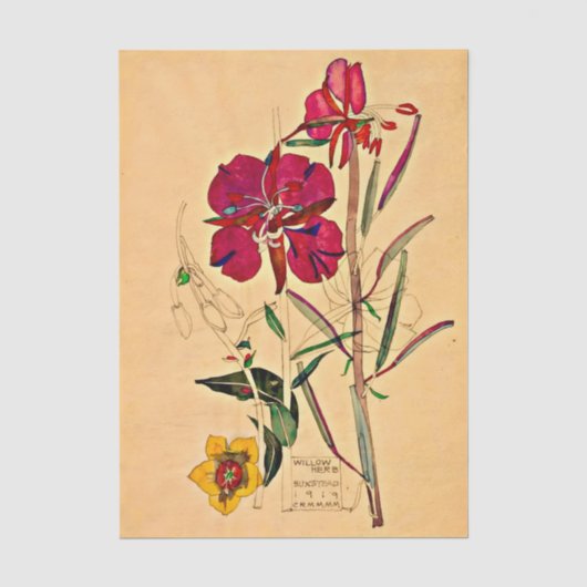 Weidenröschen von Charles Mackintosh Seidenpapier (Vorderseite)