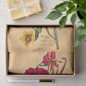 Weidenröschen von Charles Mackintosh Seidenpapier (Geschenk)