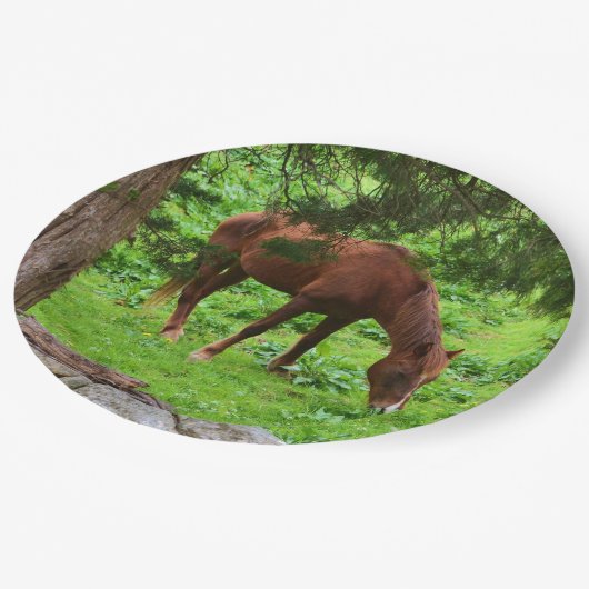 Weidepapierplatte Pappteller (Schrägansicht)