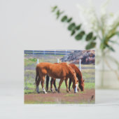 Weideparade Postkarte (Stehend Vorderseite)