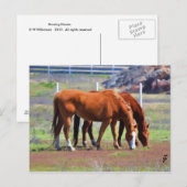 Weideparade Postkarte (Vorne/Hinten)