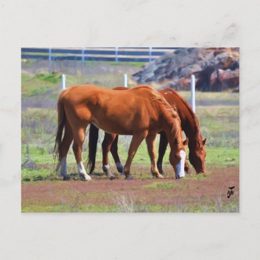 Weideparade Postkarte (Vorderseite)
