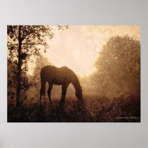 Weidepferd am Foggy Morning Poster