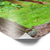 Weidepferd Foto drucken (Ecke)