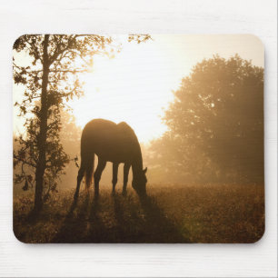Weidepferd mit Silhouette gegen Morgensonne Mousepad