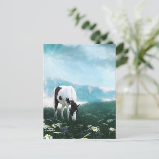 Weidepferd Postkarte (Stehend Vorderseite)