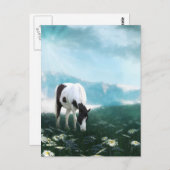 Weidepferd Postkarte (Vorne/Hinten)