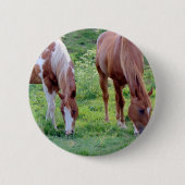 Weidepferde Button (Vorderseite)