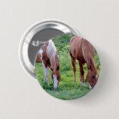 Weidepferde Button (Vorne & Hinten)