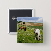 Weidepferde Button (Vorne & Hinten)