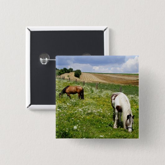 Weidepferde Button (Vorne & Hinten)