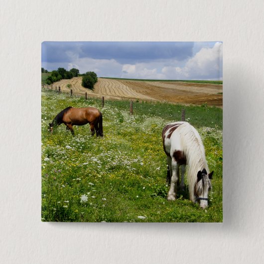 Weidepferde Button (Vorderseite)