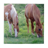 Weidepferde Fliese (Vorderseite)