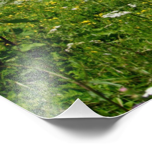 Weidepferde Fotodruck (Ecke)