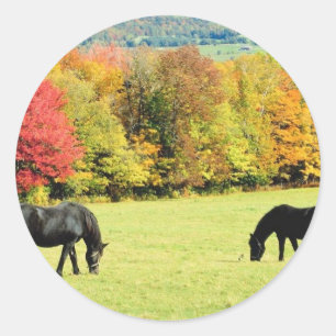 Weidepferde im Herbst Runder Aufkleber