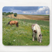Weidepferde Mousepad (Vorne)