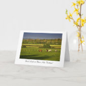 Weidepferde / Ponies, Viel Glück in New Venture Karte (Gelbe Blume)