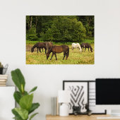 Weidepferde Poster (Heimbüro)