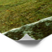 Weidepferde Poster (Ecke)