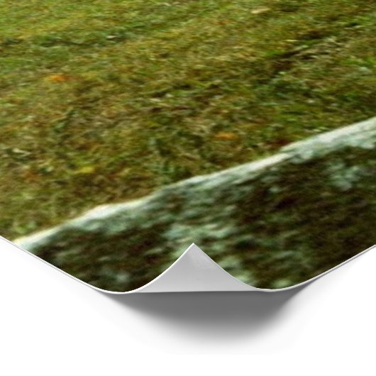 Weidepferde Poster (Ecke)