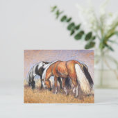 Weidepferde Postkarte (Stehend Vorderseite)