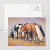 Weidepferde Postkarte (Vorne/Hinten)