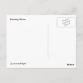 Weidepferde Postkarte (Rückseite)