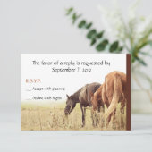 Weidepferde - RSVP-Karten RSVP Karte (Stehend Vorderseite)