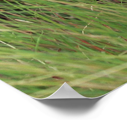 Weideplatz Poster (Ecke)