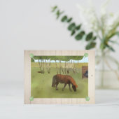Weideponie Postkarte (Stehend Vorderseite)