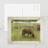 Weideponie Postkarte (Vorne/Hinten)