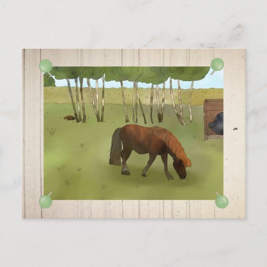 Weideponie Postkarte (Vorderseite)