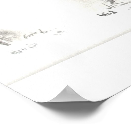 Weidepony Poster (Ecke)