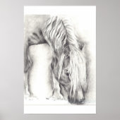 Weidepony Poster (Vorne)