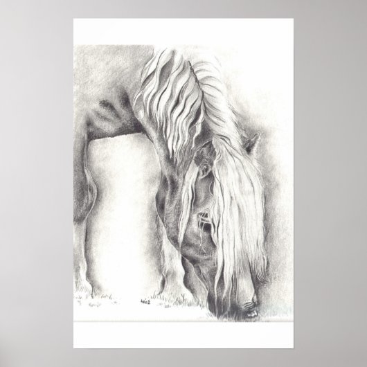 Weidepony Poster (Vorne)