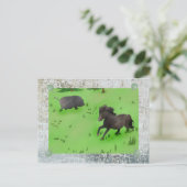 Weidepony und Schwein Postkarte (Stehend Vorderseite)