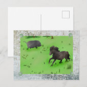 Weidepony und Schwein Postkarte (Vorne/Hinten)