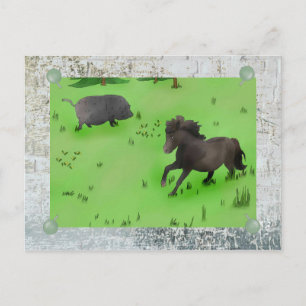 Weidepony und Schwein Postkarte