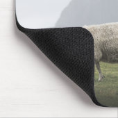 Weideschaf-Foto Mousepad (Ecke)
